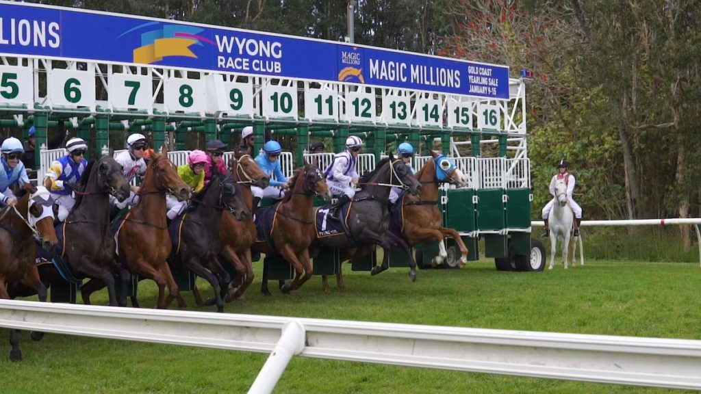 27/6/2024 Horse Racing Tips and Best Bets – Wyong