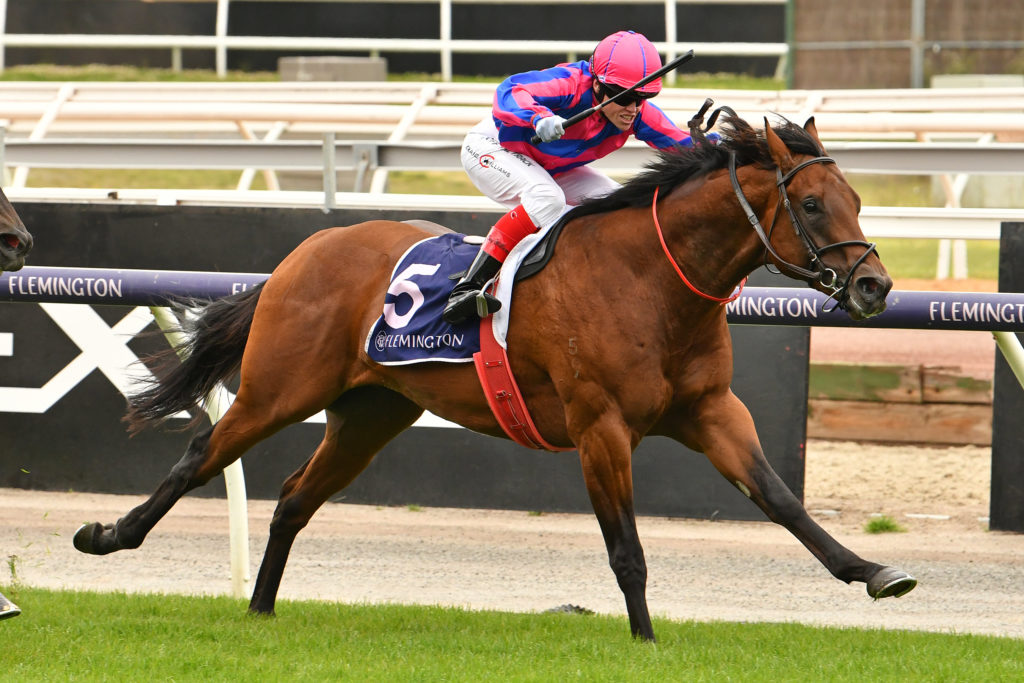 Magic Millions Ballarat 3YO & 4YO Classic Field – 2023