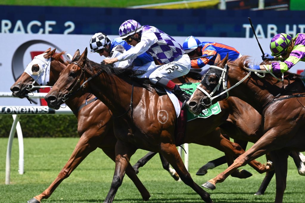 13 1 2024 Horse Racing Tips And Best Bets Rosehill January Cup Day   Testator Silens 0502221155 1024x683 