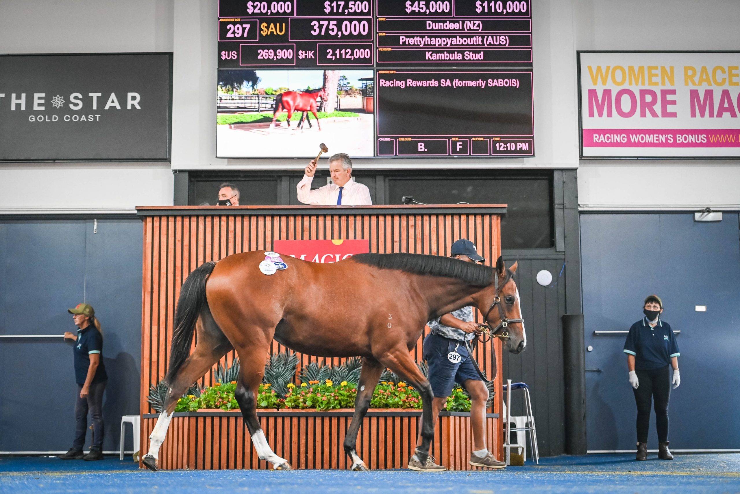 Dundeel filly sets new Magic Millions Adelaide record