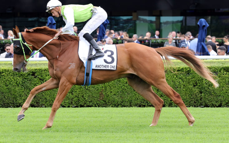 Country Championships series to kick-off at Tuncurry