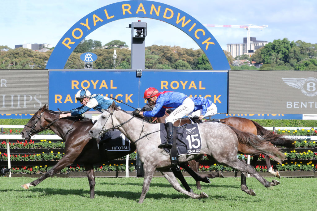 13/7/2024 Horse Racing Tips and Best Bets – Randwick