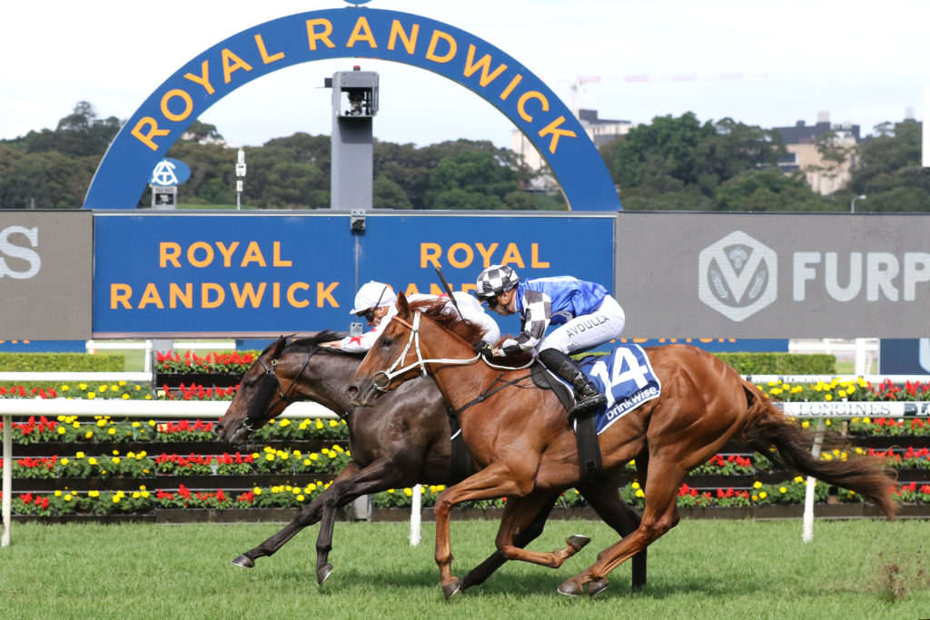 Randwick Races