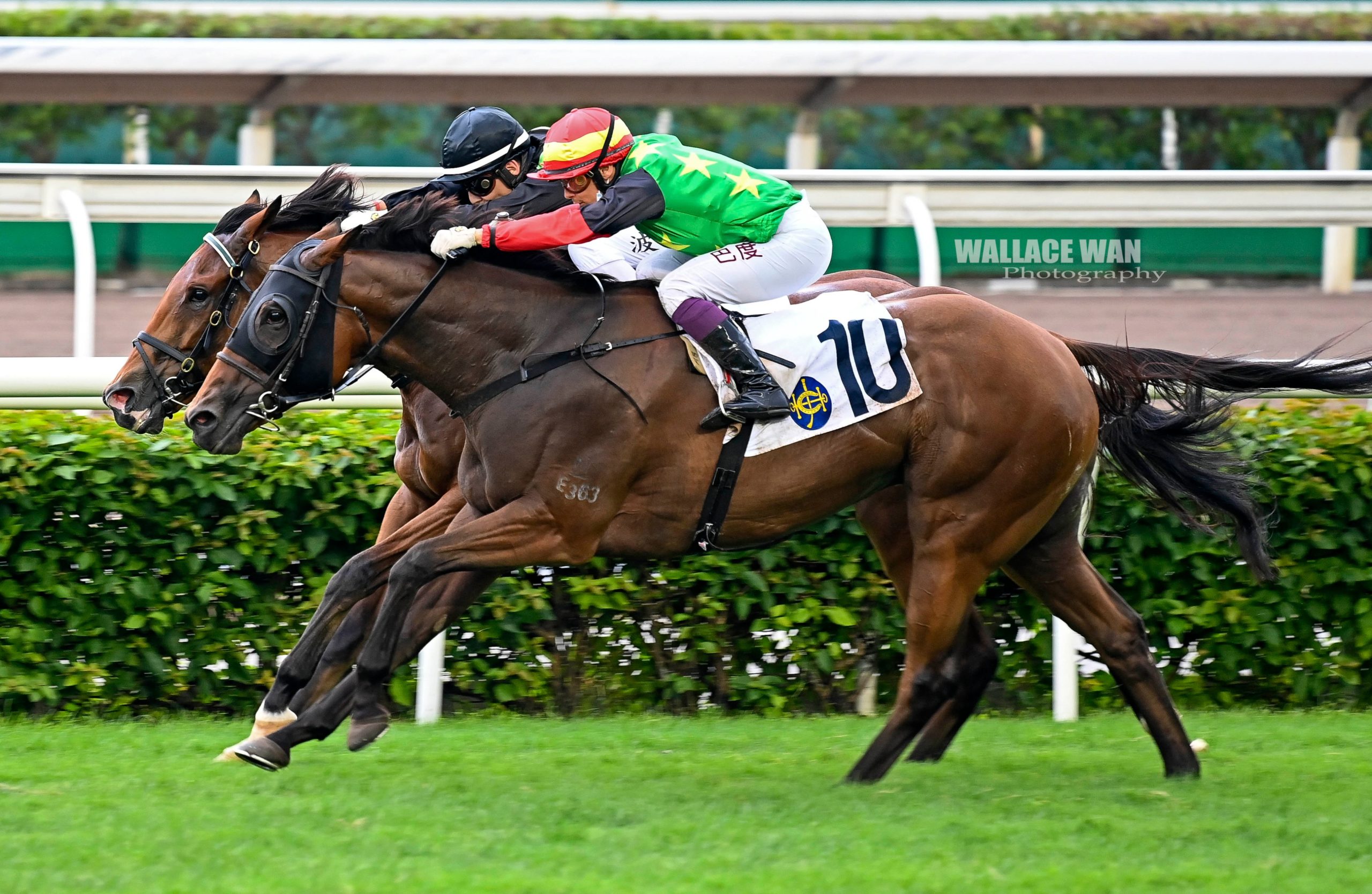 Sha Tin Vase 2023 Field, Tips, Betting Odds, Results