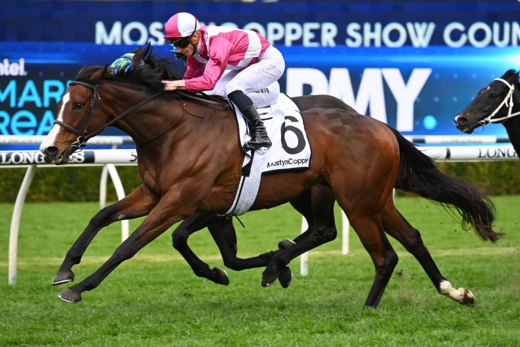 Victorian raiders set for display of Showmanship at Randwick