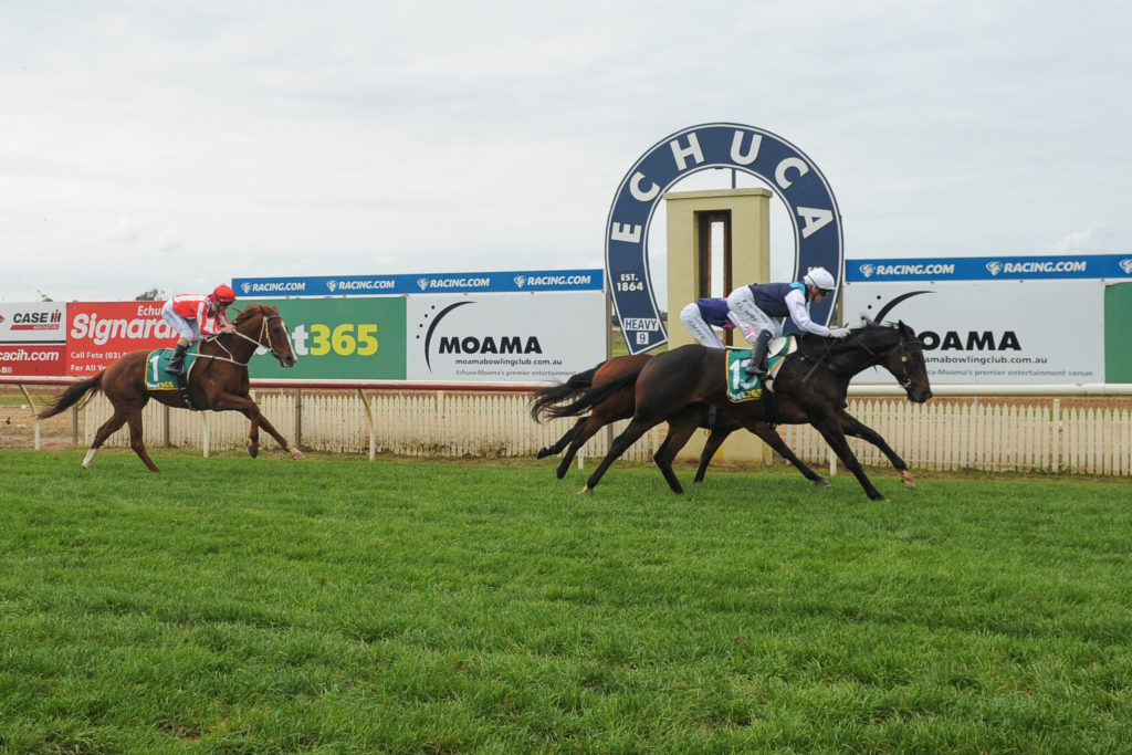 13/6/2024 Horse Racing Tips and Best Bets – Echuca