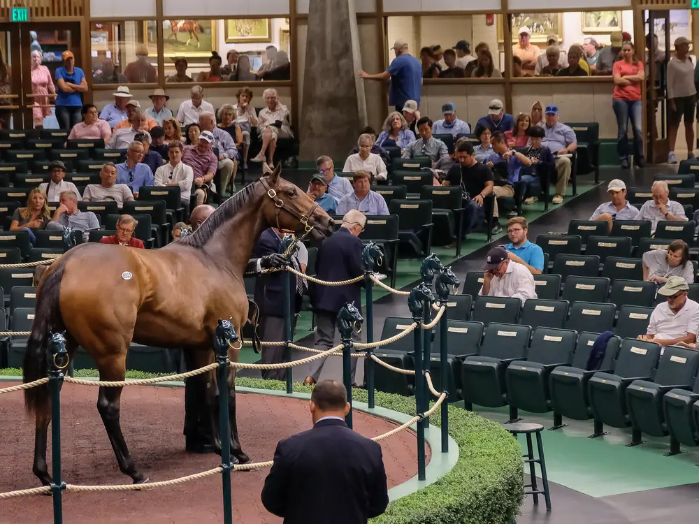 79th Keeneland September Yearlings