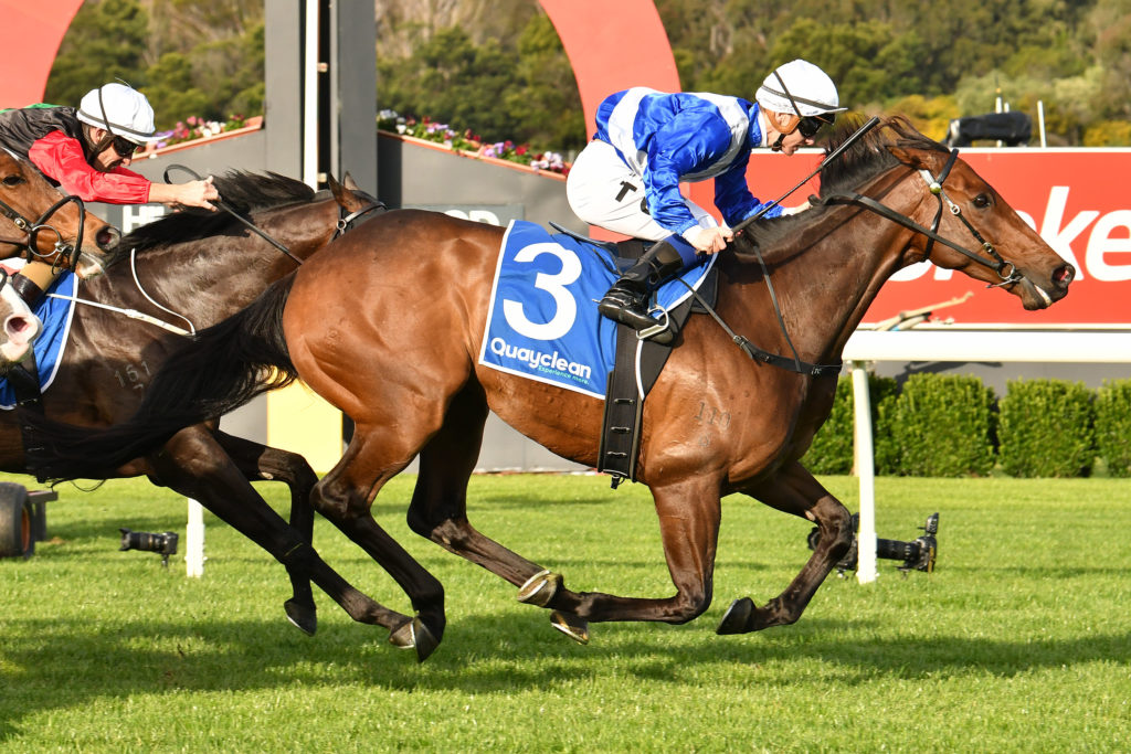 Underwood Stakes 2022 Race Result, Replay and Horse Ratings