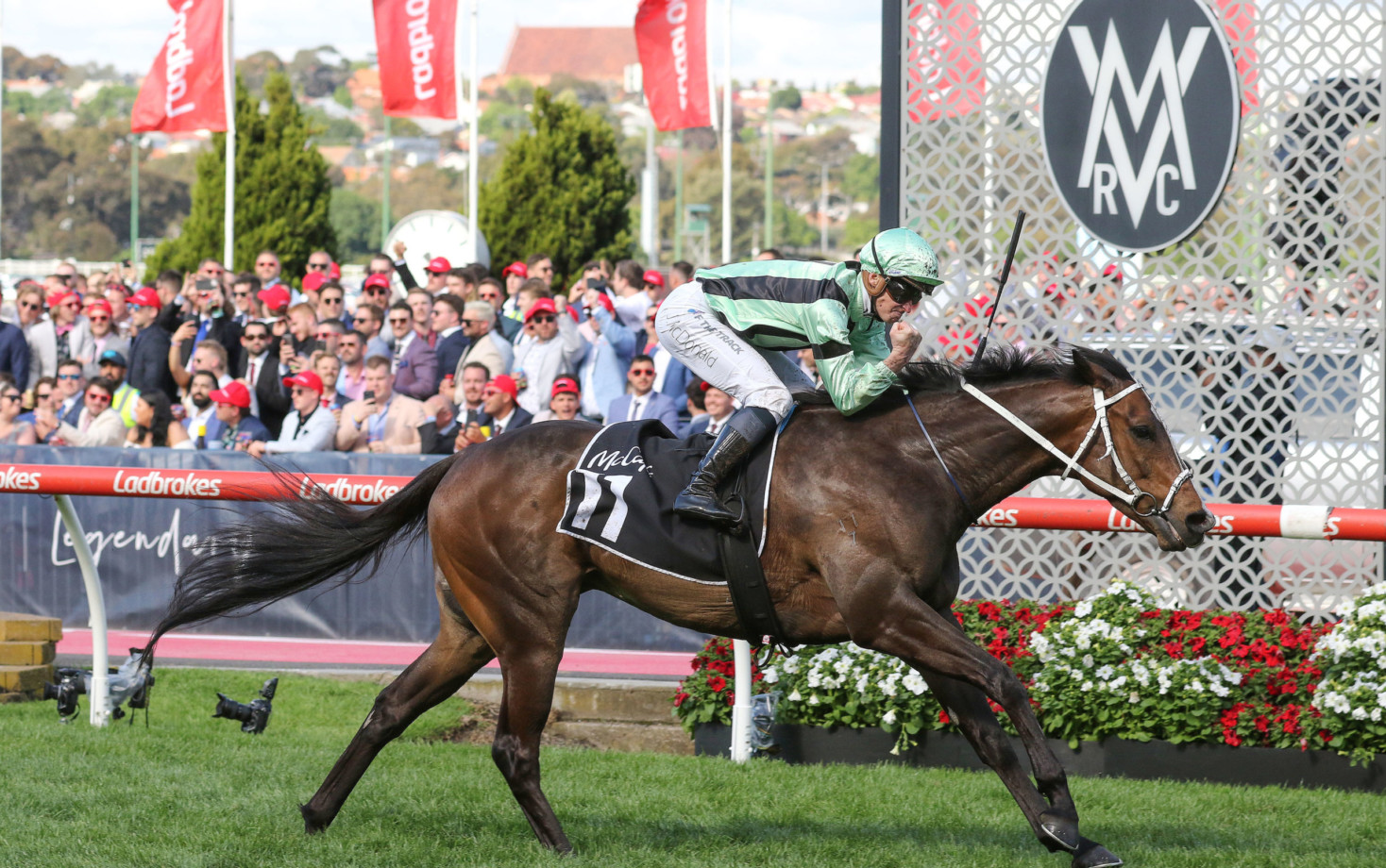 Moonee Valley Cup Field 2024