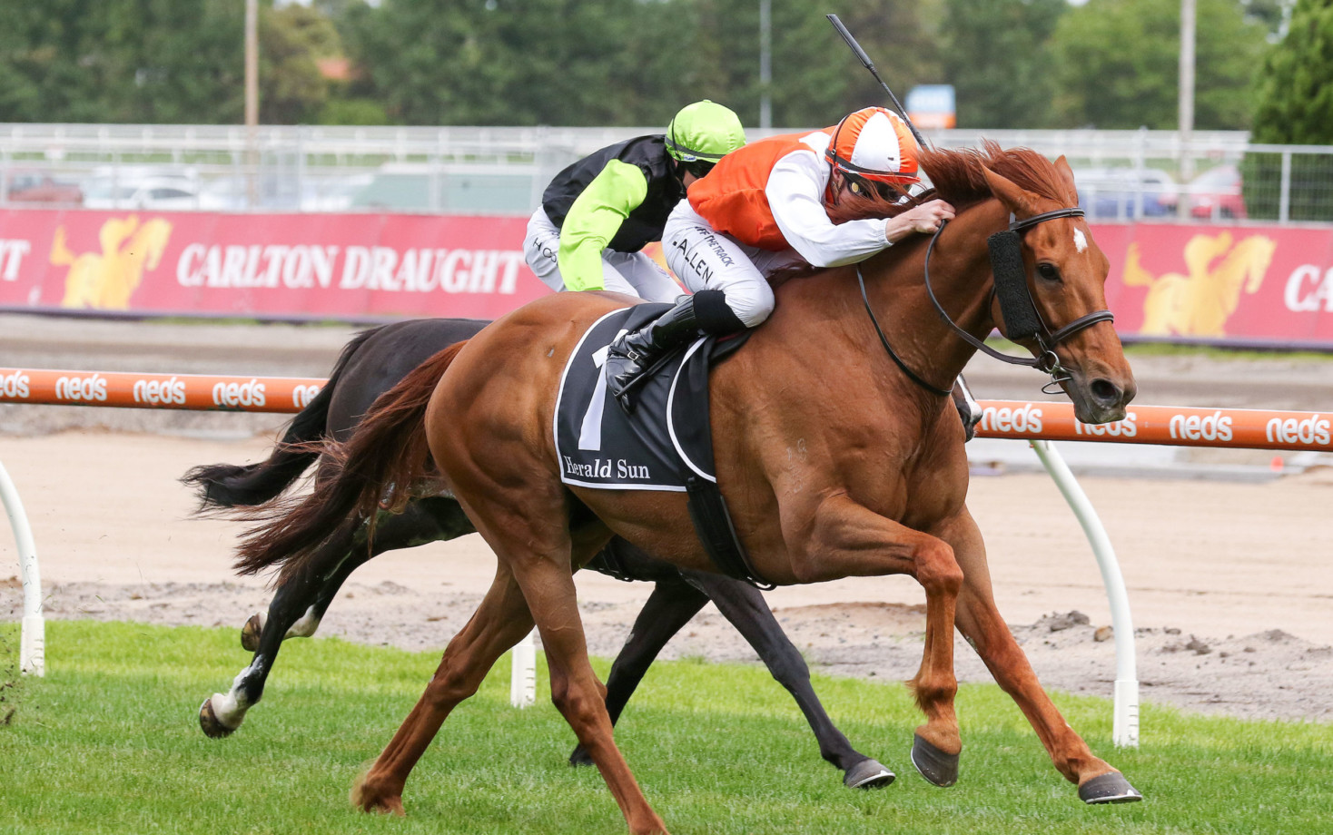 Bendigo Cup Field 2024