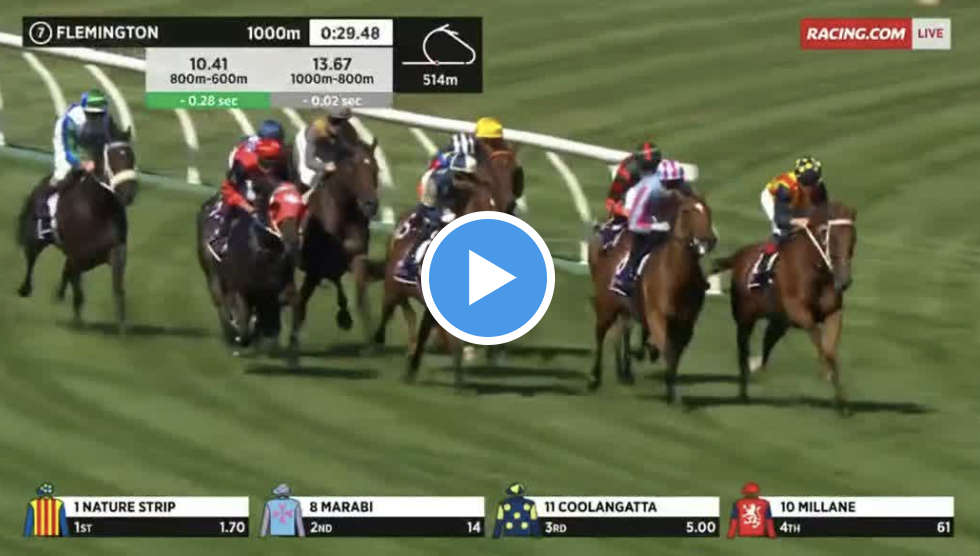 Black Caviar Lightning Stakes results and replay – 2023