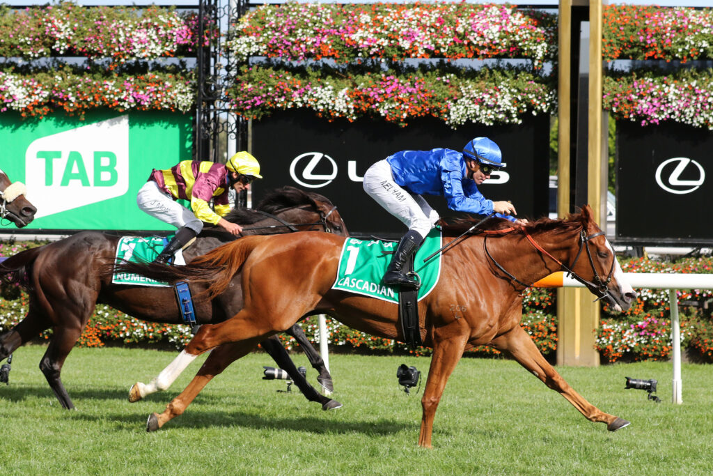 Australian Cup 2024 Field, Tips, Horses, Odds, Results