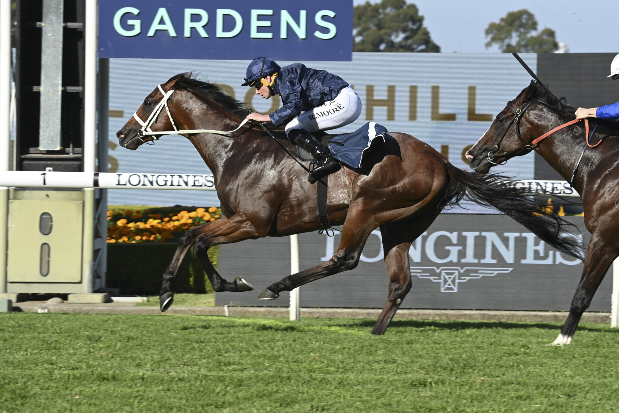 Golden Slipper 2024 Field, Tips, Horses, Odds, Results