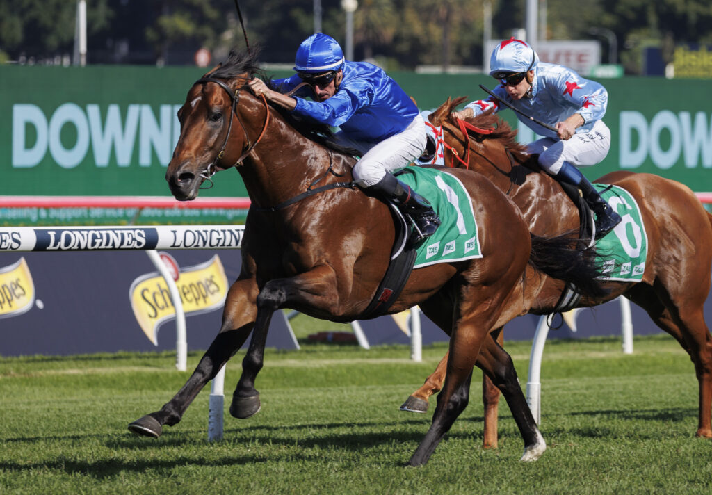 Punters plunge on Godolphin sprinter in the Moreton Cup