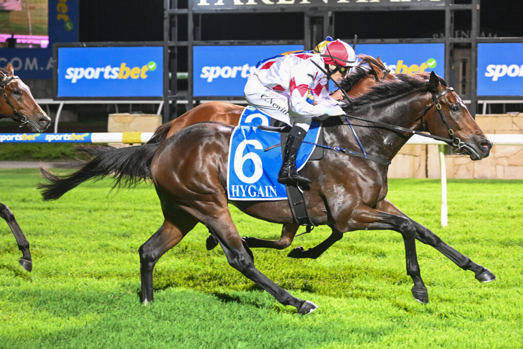 Road to Melbourne Cup for Aberfeldie Boy starts again