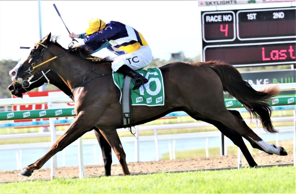 Russian Alliance back in action at Doomben