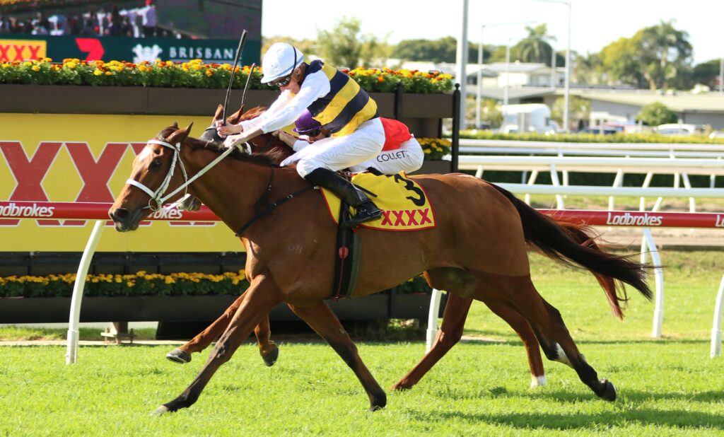 Brisbane Cup 2024 Field, Tips, Betting Odds, Results