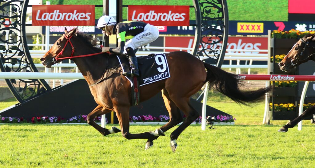 Stradbroke Handicap