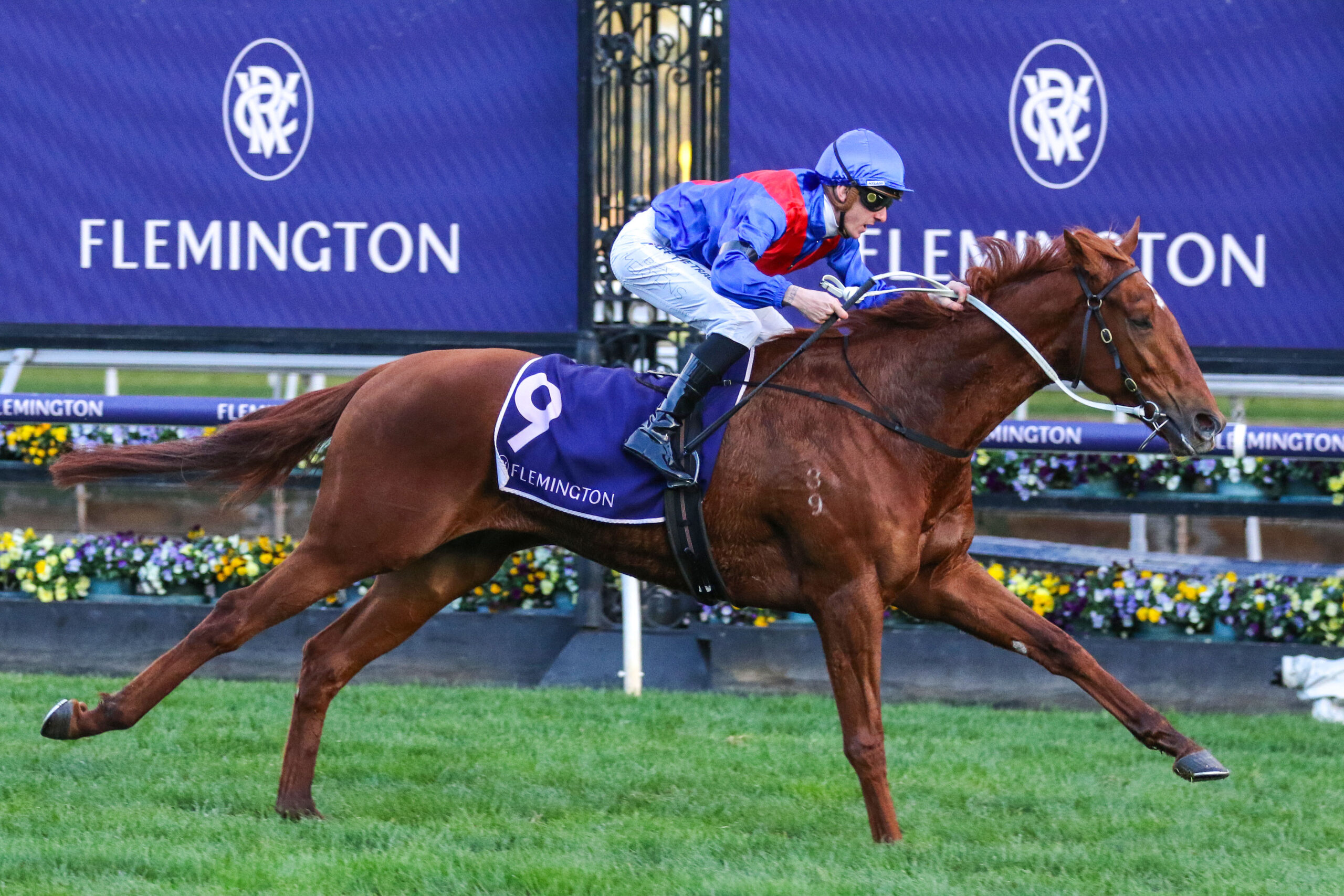 The big bets: $110,000 wager on Group 1 runner