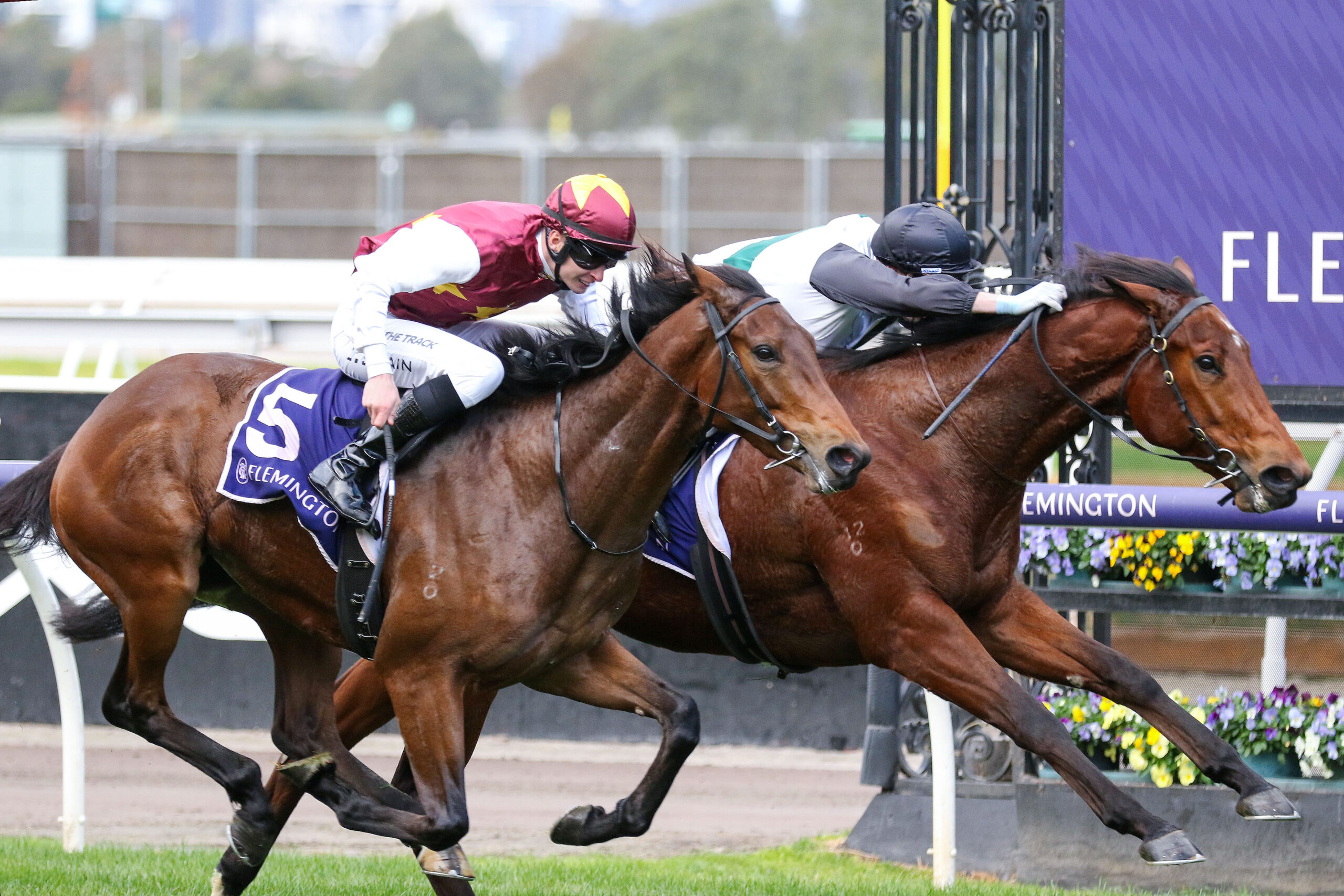 The big bets: $110,000 wager on Group 1 runner