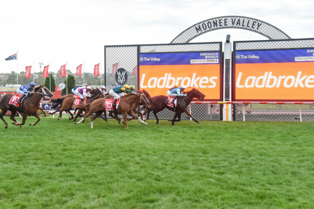 24/8/2024 Horse Racing Tips and Best Bets – Moonee Valley, Carlyon Stakes day