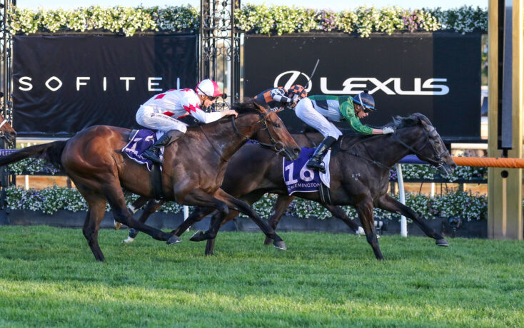 CLEVER PUNTER 🇦🇺🏇 on X: Caulfield Cup fever is amongst us and I've  landed with this card for the day. Viviane and Spacewalk my best bets for  the day, going against some