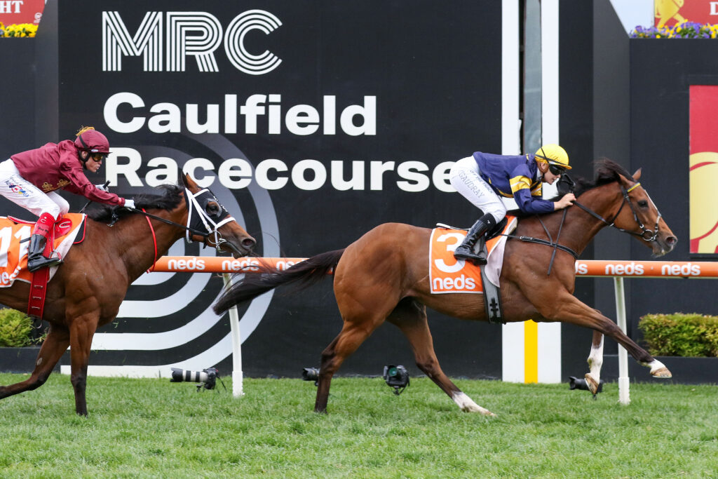 17/8/2024 Horse Racing Tips and Best Bets – Caulfield, PB Lawrence Stakes day