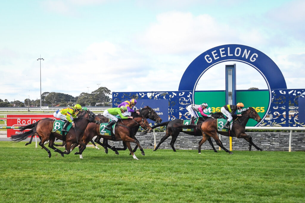 25/10/2023 Horse Racing Tips and Best Bets Geelong, Geelong Cup day