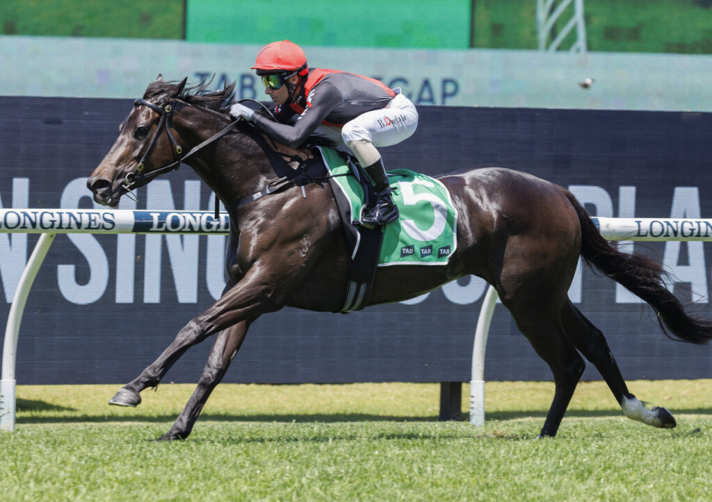 Eagle not certain to take flight at Randwick