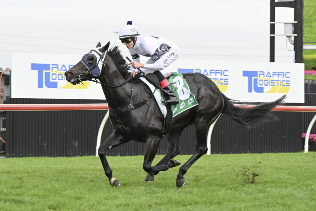 Freedman stable weighing up options for Insurrection