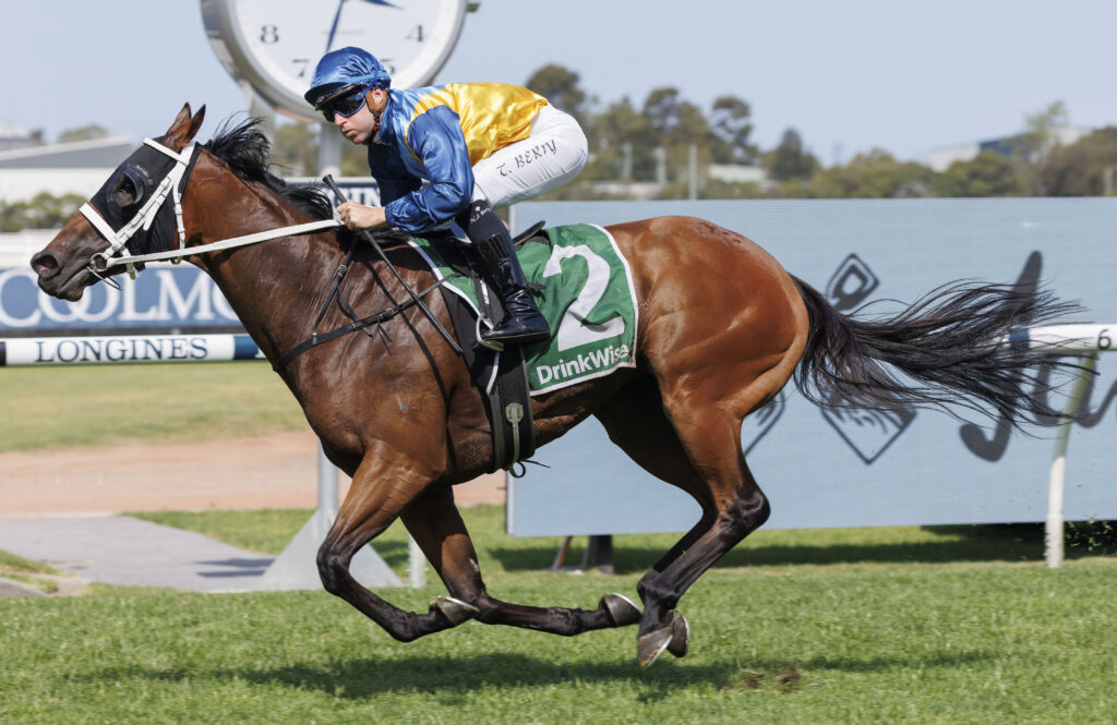 Dane Ripper Stakes Field – 2024