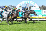 Bendigo Races