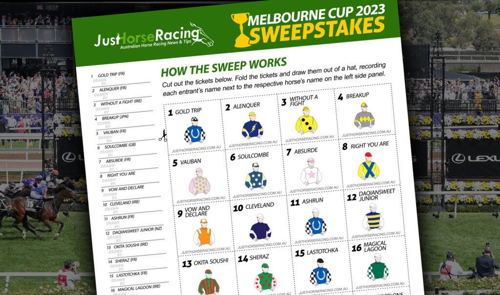 Melbourne Cup 2024 Horses Sweep 2022 Dix Vickie