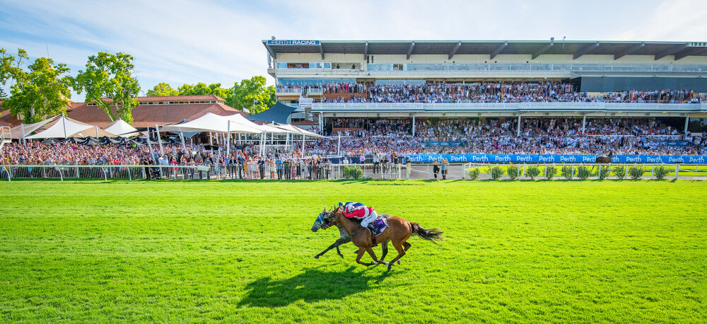 Perth Cup Field – 2024