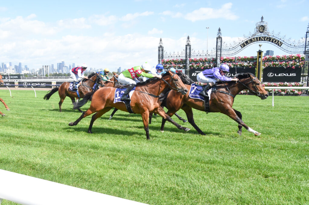 Date switch for Melbourne Cup qualifier