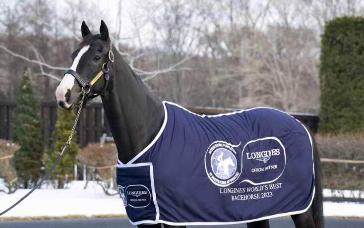 Equinox crowned 2023 Longines World s Best Racehorse