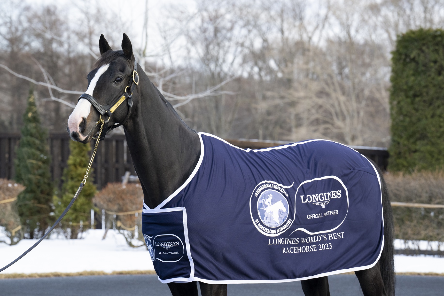 Equinox crowned 2023 Longines World s Best Racehorse