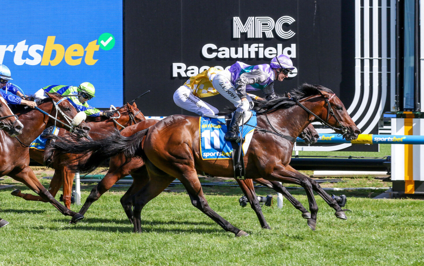 Blue Diamond Stakes 2025 Field, Tips, Horses, Odds, Results