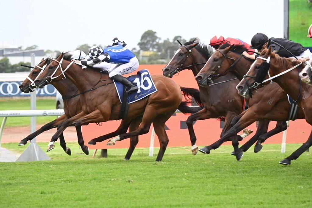 Sydney Cup odds suggest a wide open field