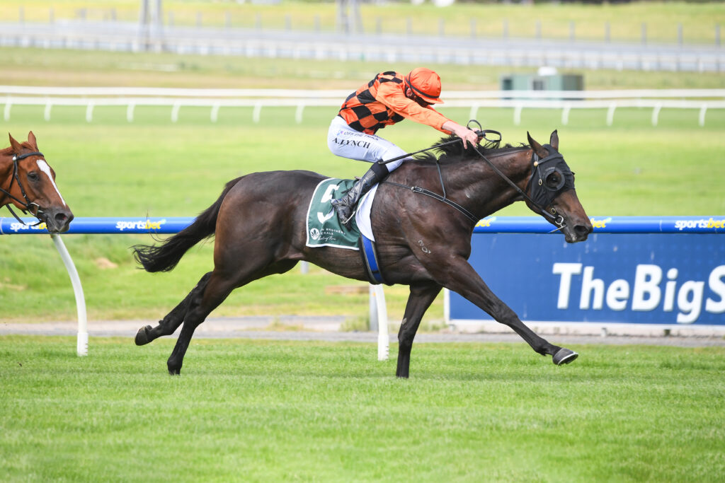 Hey Fat Cat arrives in Hong Kong to join Douglas Whyte