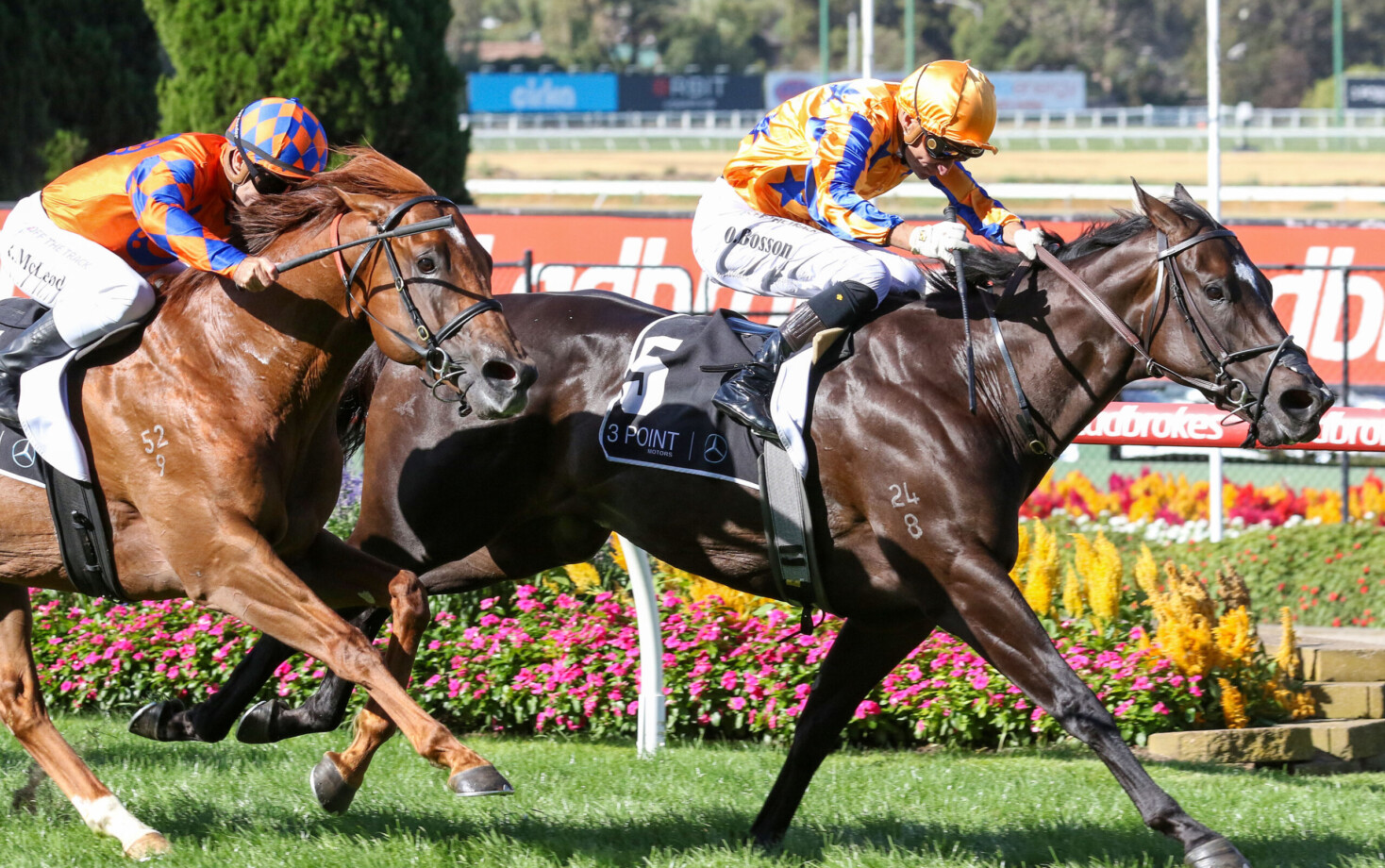 All eyes on Imperatriz at Magic Millions