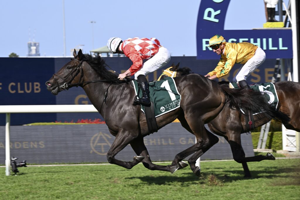 Star Kiwi filly Orchestral odd’s slashed in the Australian Oaks