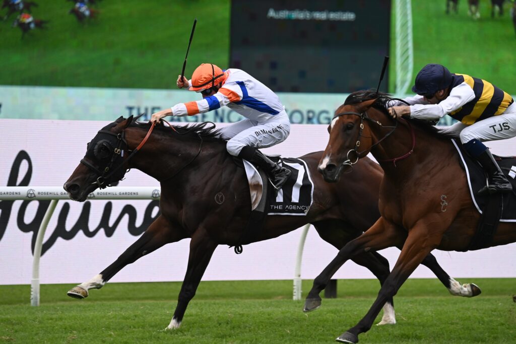 Ryder Stakes 2025 Field, Tips, Horses, Odds, Results