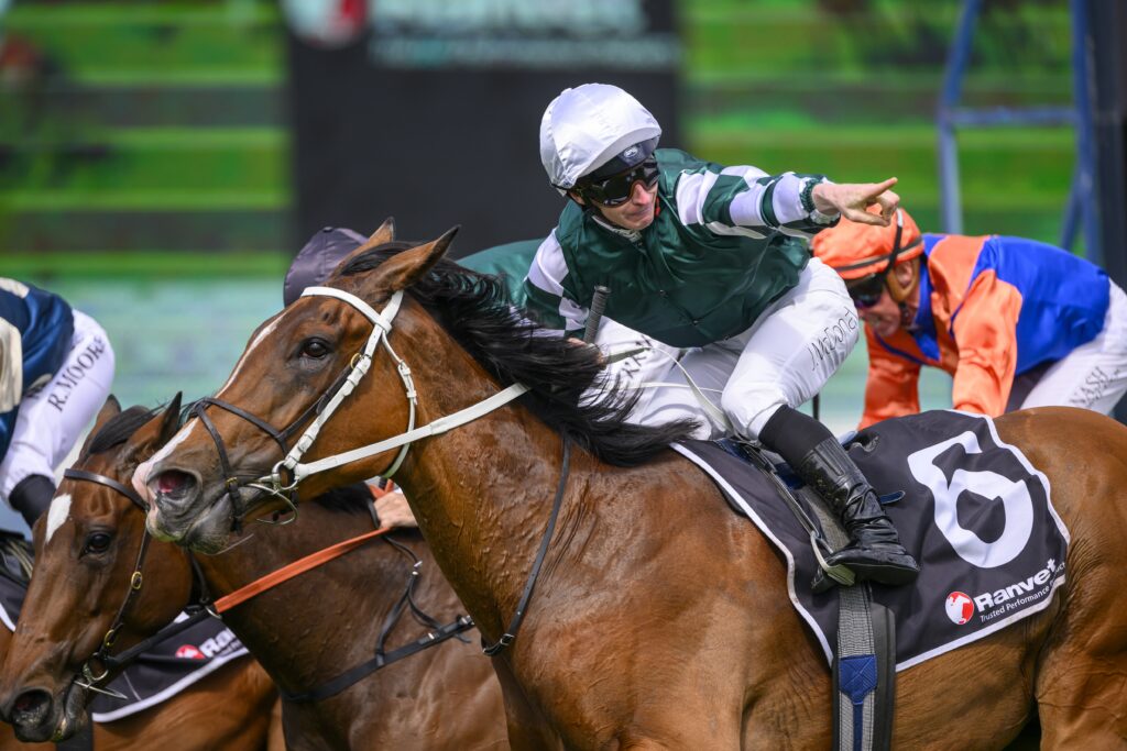 Barriers drawn for Queen Elizabeth Stakes and Sydney Cup