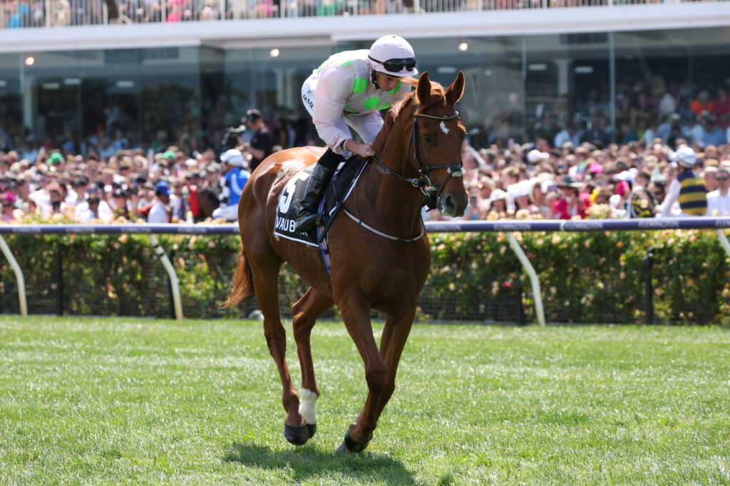 Irish pair ticking over well for the Melbourne Cup