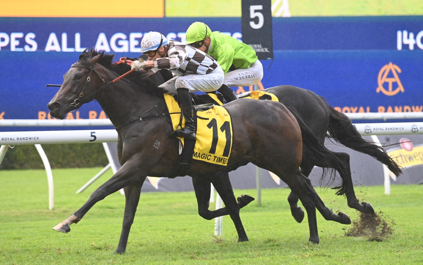 All Aged Stakes 2025 Field, Tips, Betting Odds, Results