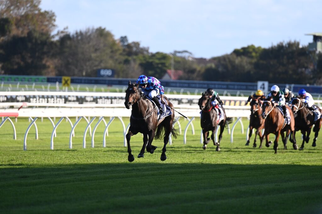 Pride Of Jenni runs them ragged in Queen Elizabeth Stakes