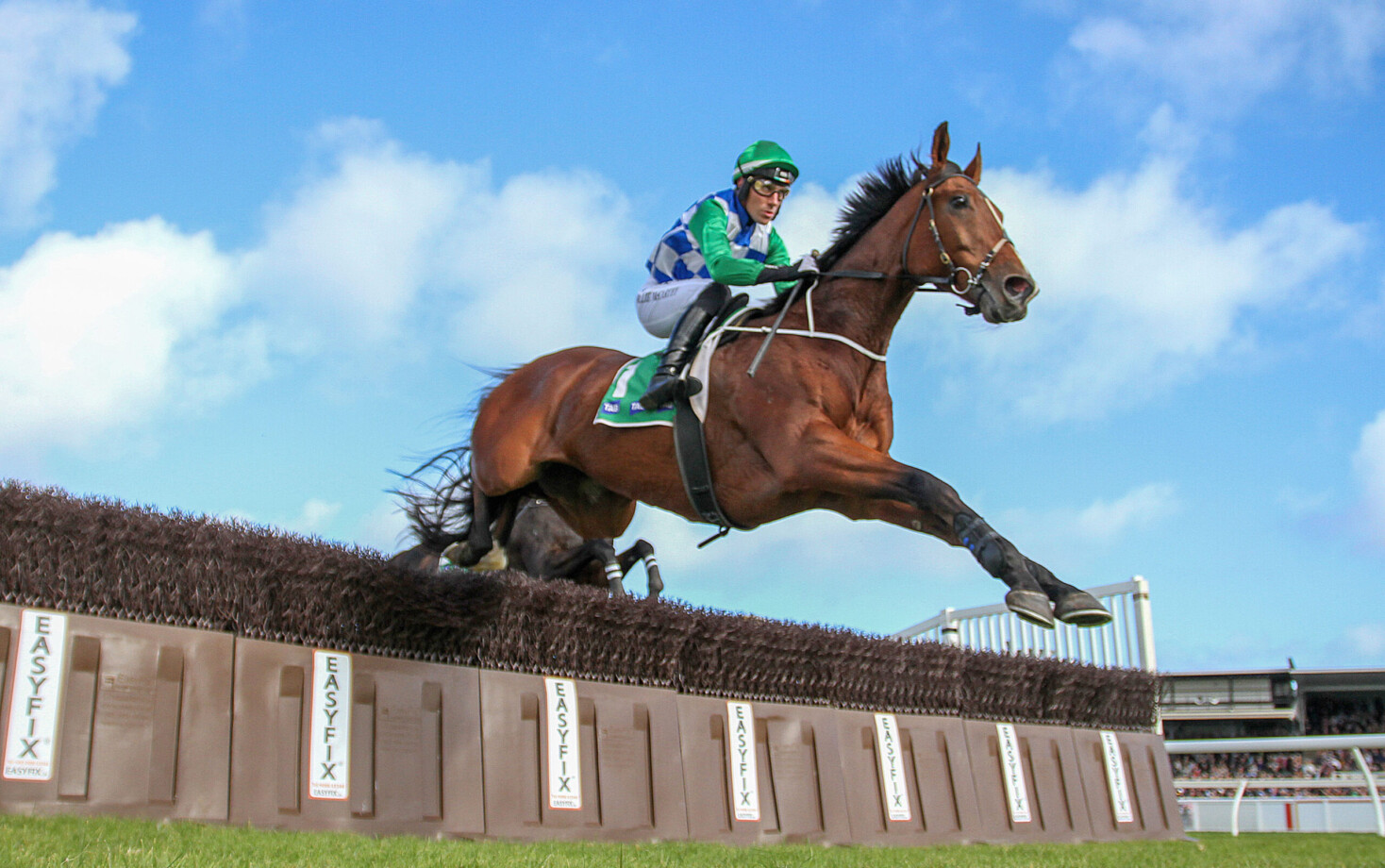 Brierly Steeplechase 2025 Field, Tips, Betting Odds, Results