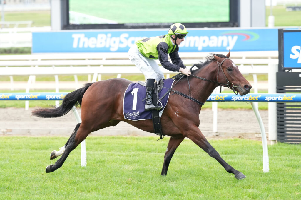 Interest Point heads to town