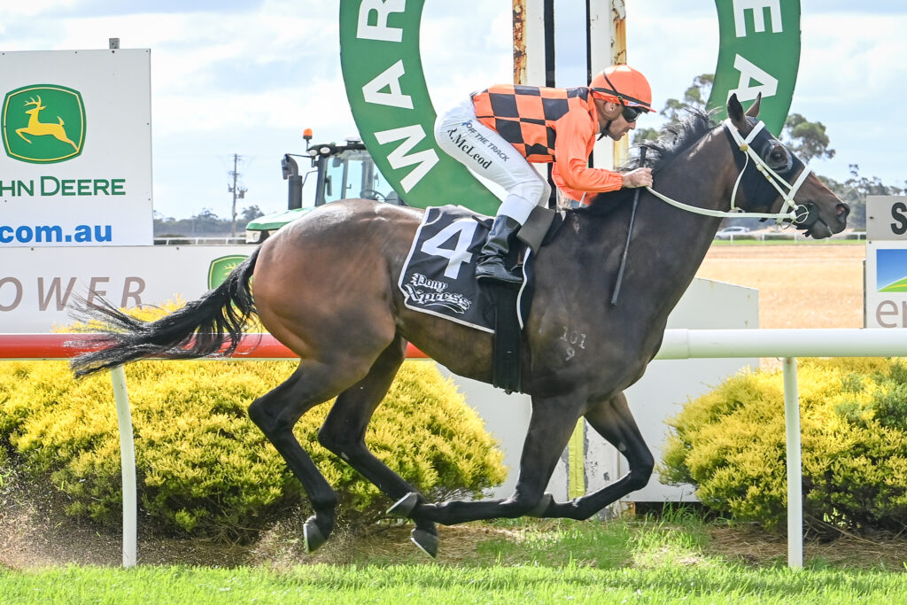 Down in grade sprinter can Bob up at Rosehill